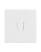 Ice White Arlec Rocker 1gang Light Switch front