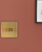 Gold Arlec Fusion double dimmer switch packaging